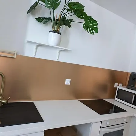 Apartment Cosy Queen -3ch- Centre & Parking Privee - Wifi Debit Pau